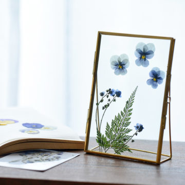 暮らしに彩りを インテリアとしても楽しめる 押し花の飾り方