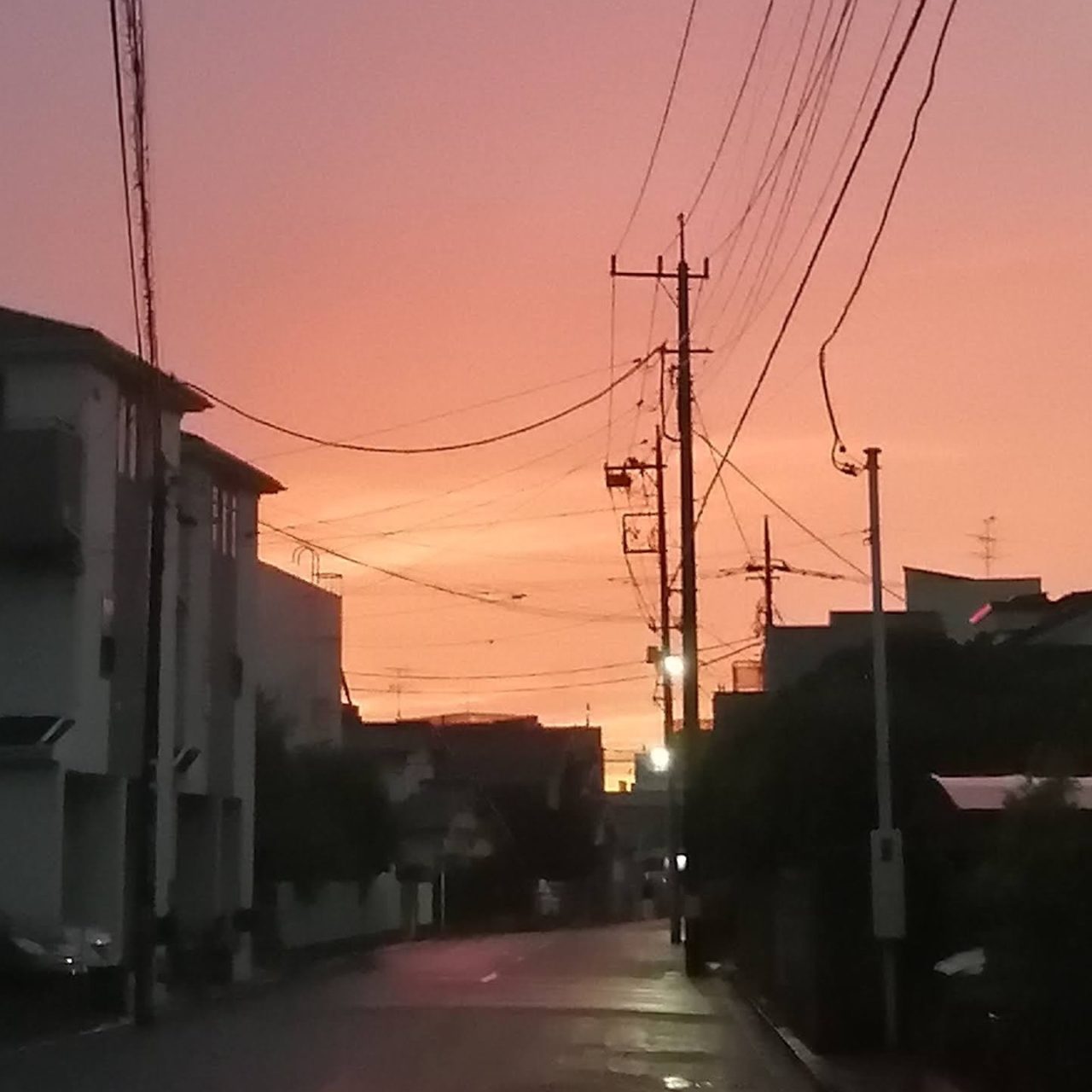 夕日と雨に濡れた道路
