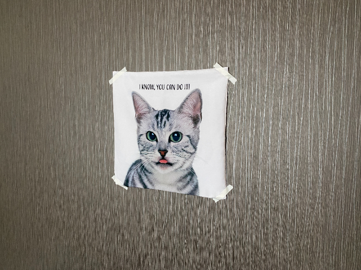 猫のポスターをマスキングテープで貼っている