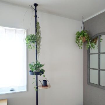 賃貸でも自由に楽しもう 突っ張り棒で観葉植物を吊るす飾り方