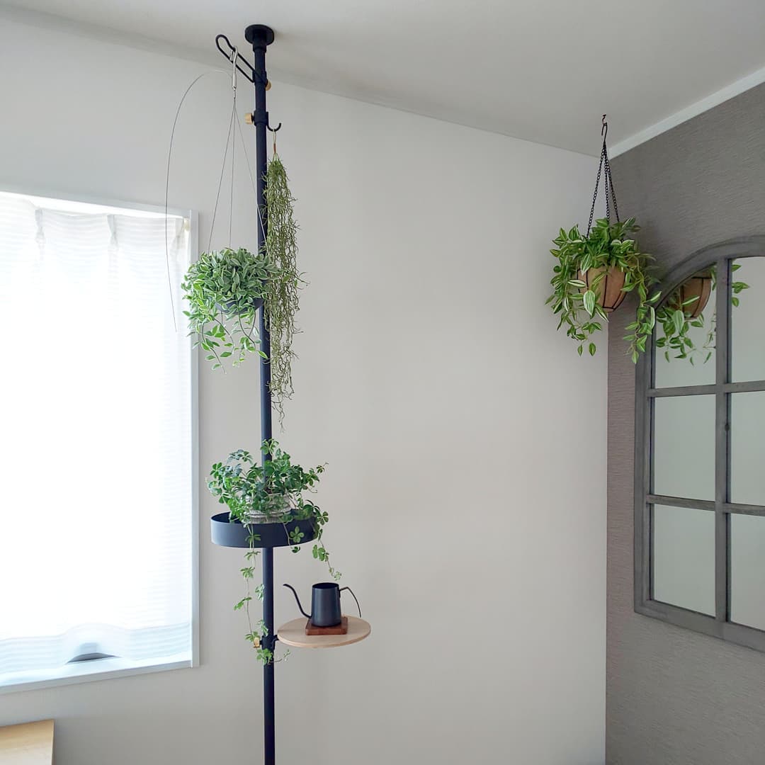 賃貸でも自由に楽しもう 突っ張り棒で観葉植物を吊るす飾り方